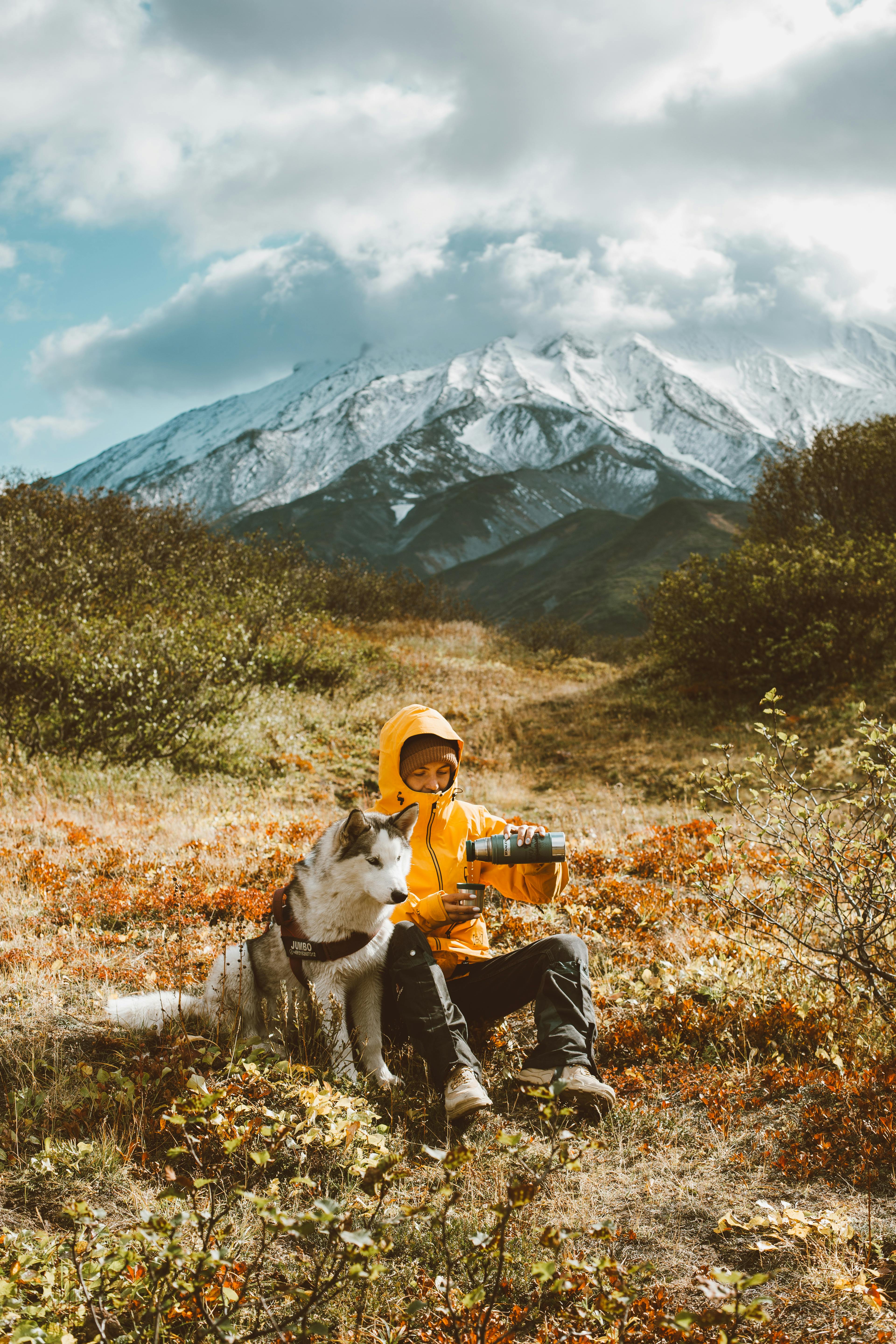 Portare un cane in Canada